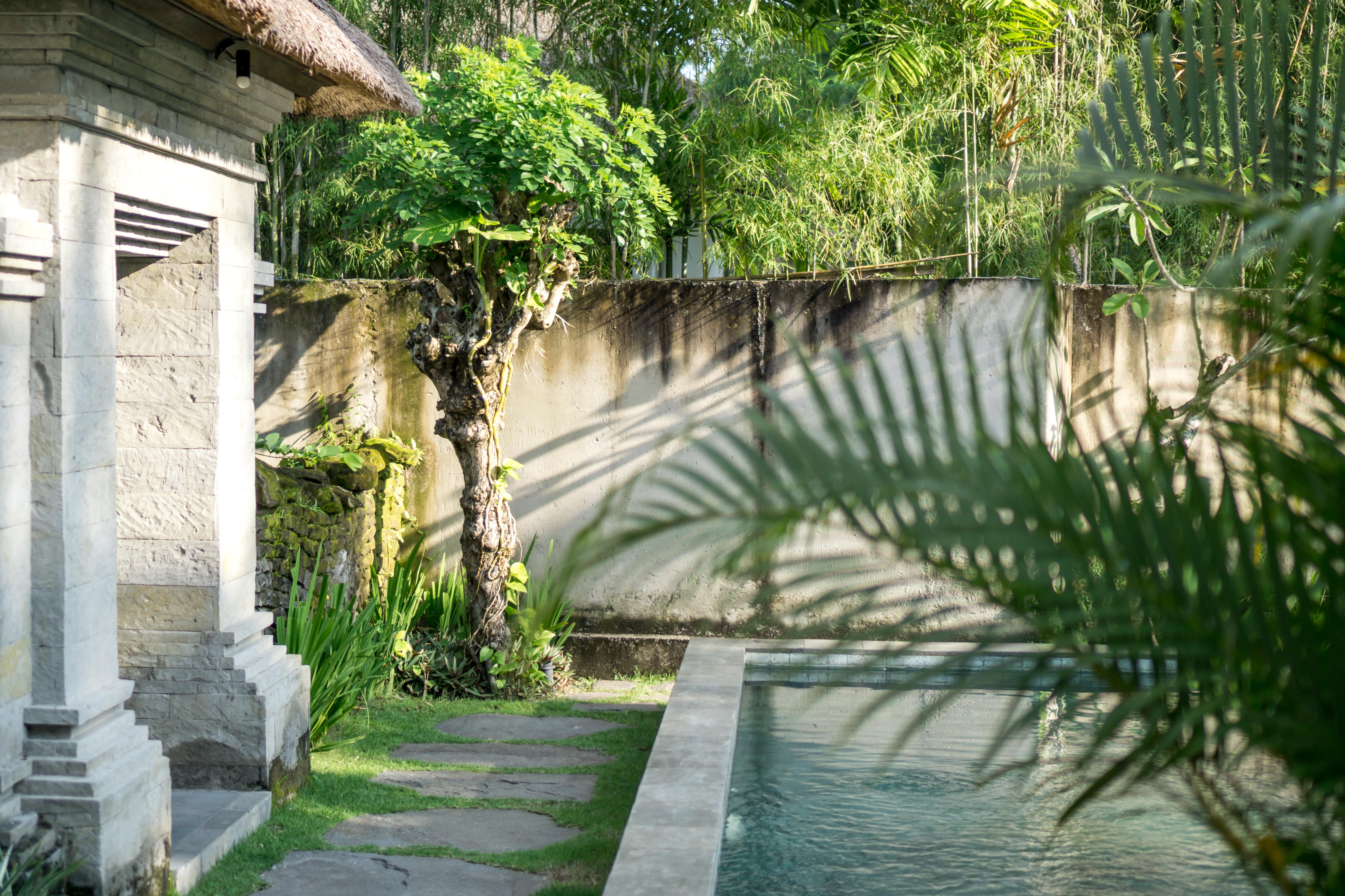 Radha Phala Resort & Spa Ubud  Luaran gambar